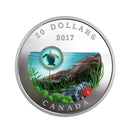 2017 Canada $20 Under The Sea Turtle Fine Silver Coin