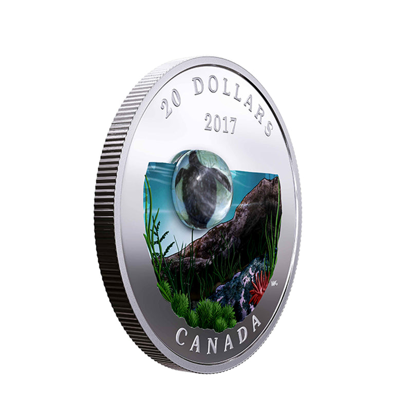 2017 Canada $20 Under The Sea Turtle Fine Silver Coin