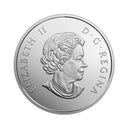 2017 Canada $20 Under The Sea Turtle Fine Silver Coin