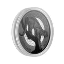 2019 Canada $20 Nocturnal by Nature - Cunning Cougar Fine Silver (No Tax)