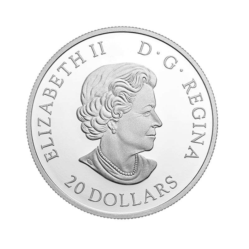 2018 Canada $20 Queen Elizabeth II's Maple Leaves Brooch Fine Silver (No Tax)