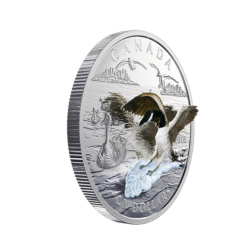 2018 Canada $20 3D Approaching Canada Goose Fine Silver Coin (61)