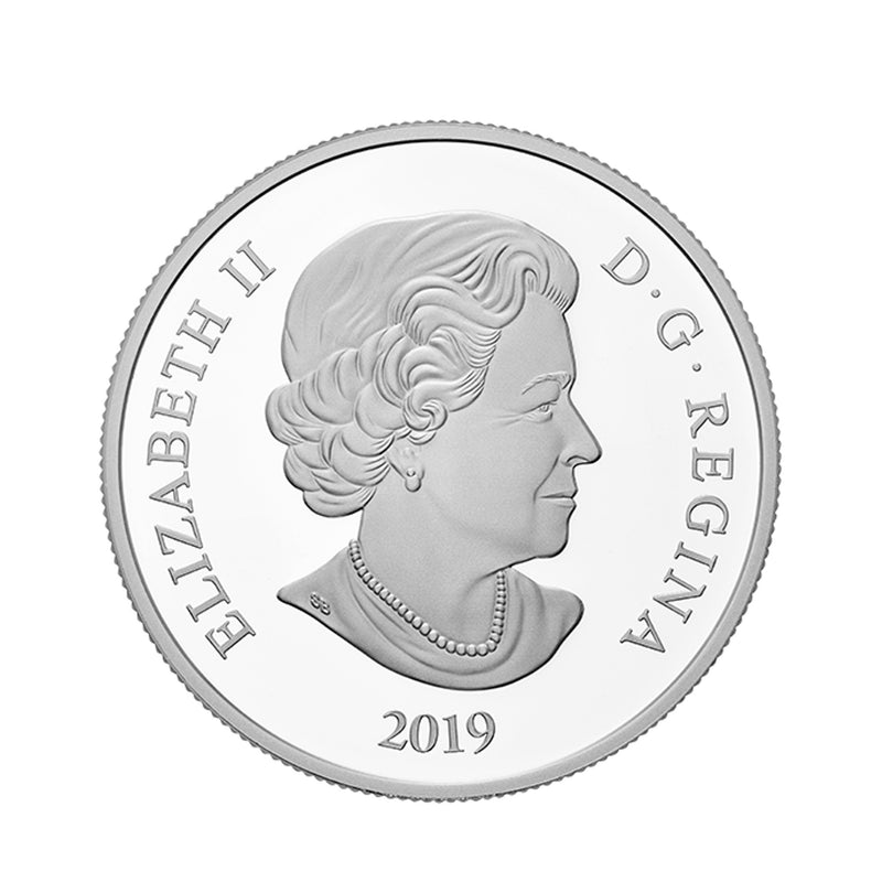 2019 Canada $20 Mystical Snow Day Fine Silver (No Tax)