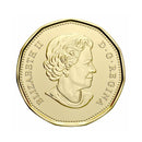 2020 Canada Wedding Gift 6 Coins Set With Special Loon Dollar