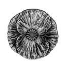 2020 Canada $20 Remembrance Day Fine Silver (No Tax)