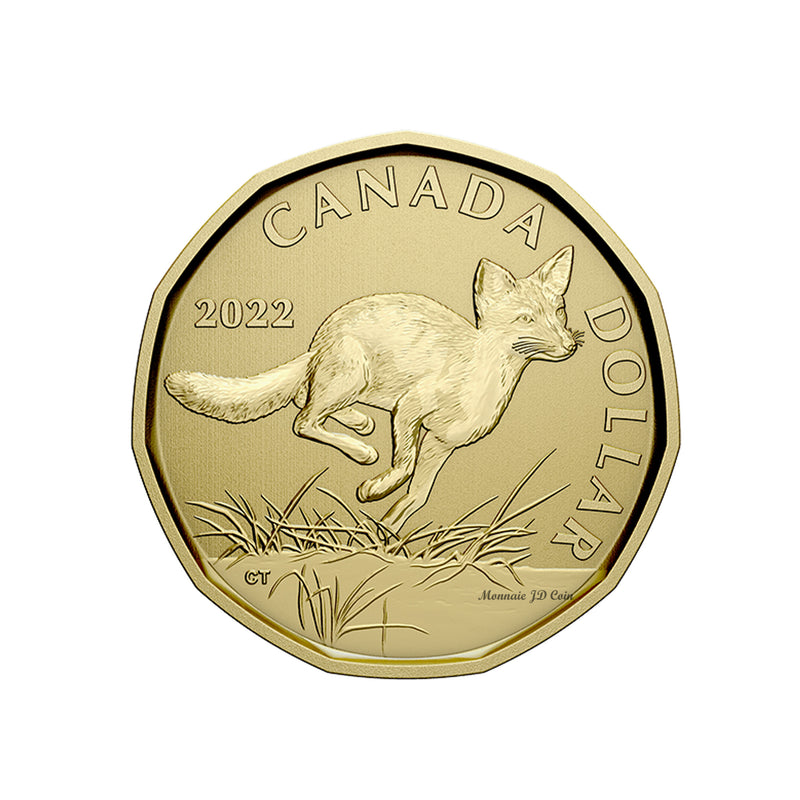 2022 Canada Loon Swift Fox Specimen Uncirculated Coin