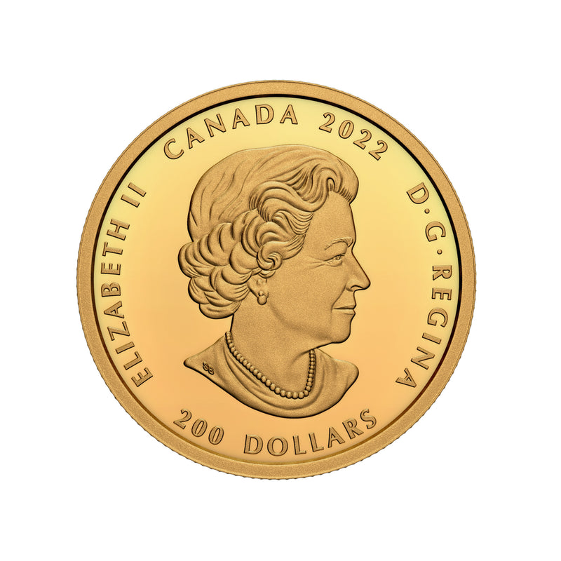 2022 $200 Celebrating Canada's Diversity: Culture and Traditions 1oz. Pure Gold