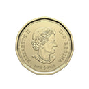 2023 Canada Birthday Gift Set With Special Loon Dollar