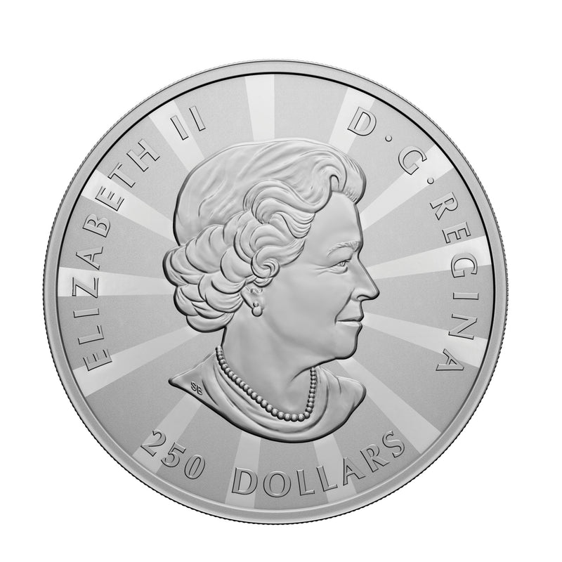 2023 Canada $250 Multifaceted Maples Fine Silver Kilo Coin