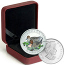 2014 Canada 25 Cents Coloured Ducks of Canada Coin The Pintail