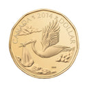 2014 Canada Baby Gift Set With Special Loon Dollar