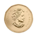 2014 Canada Baby Gift Set With Special Loon Dollar